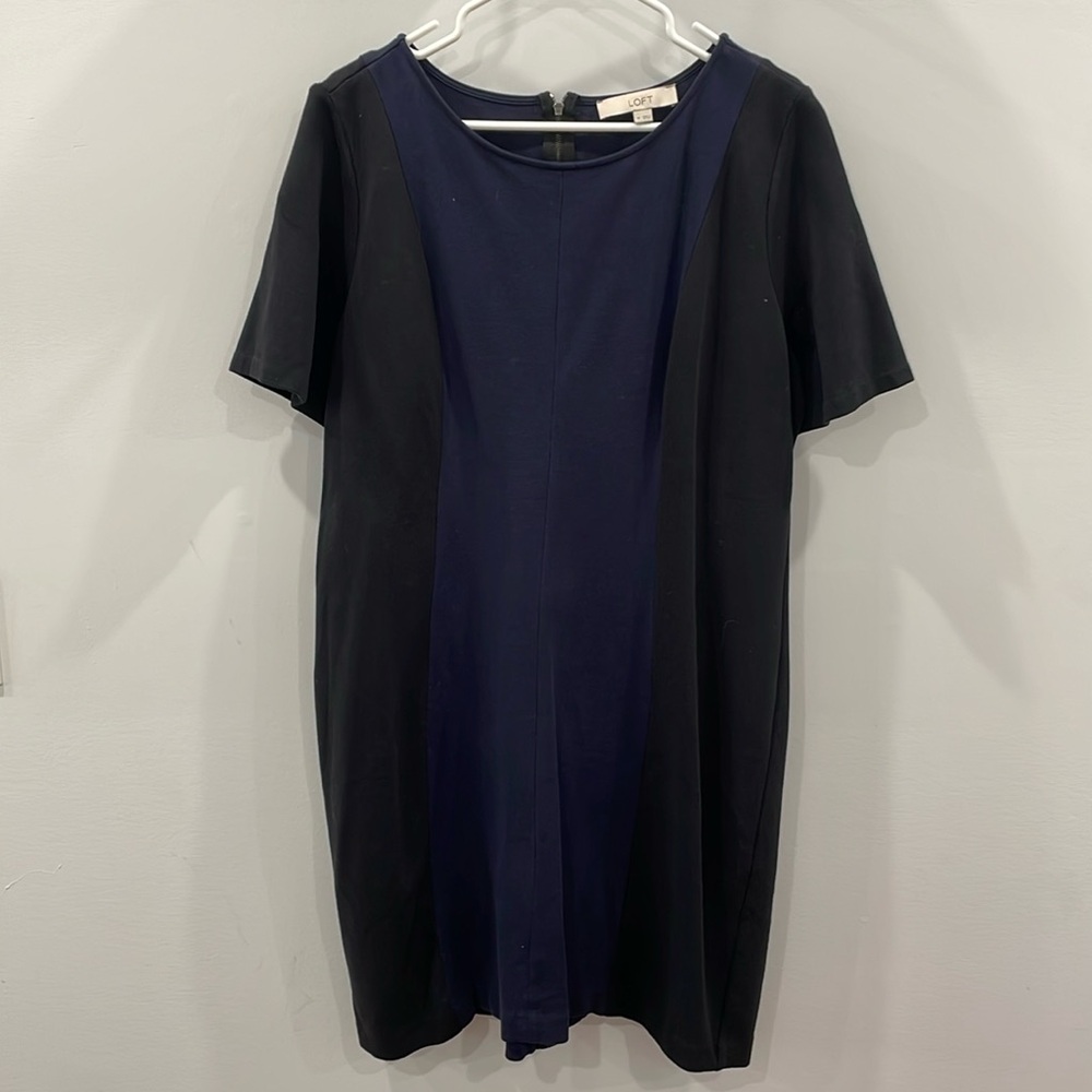LOFT Dress